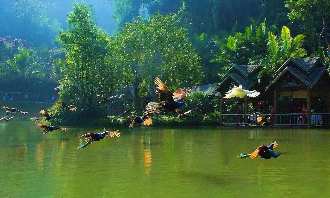 超星战舰队